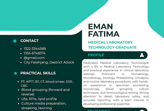 design a professional ats friendly resume or CV in canva